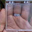 Anillo Primavera