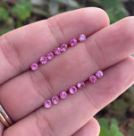 Churumbela Espinelas Velvet Rose/MONTADURA CORAZONES